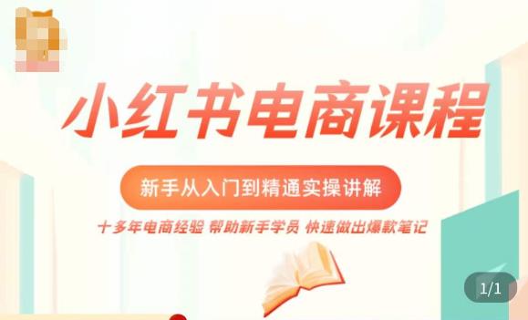 小红书电商新手入门到精通实操课，从入门到精通做爆款笔记，开店运营-大东资源库