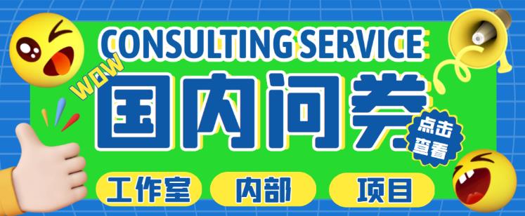 最新工作室内部国内问卷调查项目，单号轻松日入30+多号多撸【详细玩法教程】-大东资源库