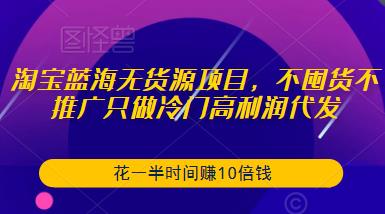 淘宝蓝海无货源项目，不囤货不推广只做冷门高利润代发，花一半时间赚10倍钱-大东资源库