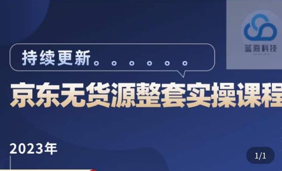 蓝七·2023京东店群整套实操视频教程,京东无货源整套操作流程大总结,减少信息差,有效做店发展-大东资源库