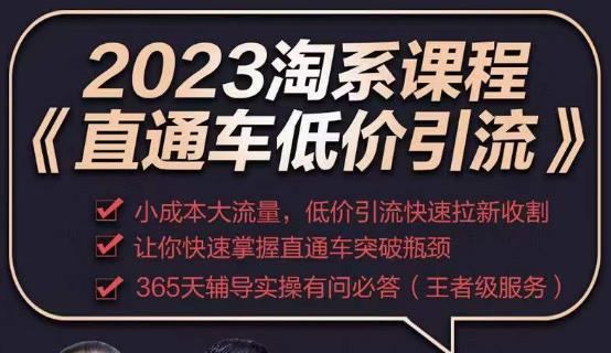 2023直通车低价引流玩法课程，小成本大流量，低价引流快速拉新收割，让你快速掌握直通车突破瓶颈-大东资源库