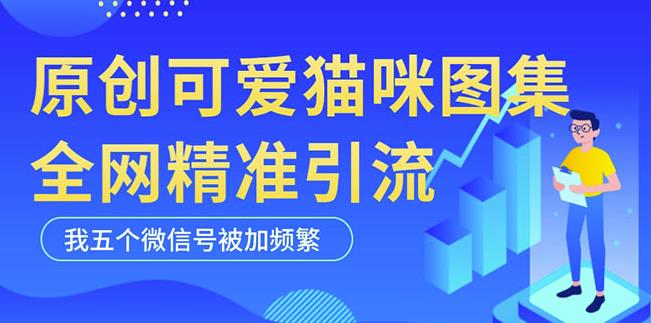 黑科技纯原创可爱猫咪图片，全网精准引流，实操5个VX号被加频繁-大东资源库