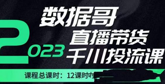 数据哥2023直播电商巨量千川付费投流实操课，快速掌握直播带货运营投放策略-大东资源库
