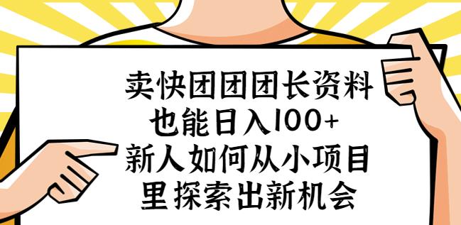 卖快团团团长资料也能日入100+新人如何从小项目里探索出新机会-大东资源库