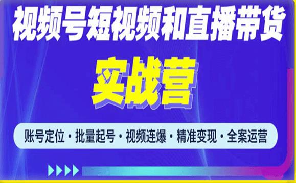 2023最新微信视频号引流和变现全套运营实战课程，小白也能玩转视频号短视频和直播运营-大东资源库