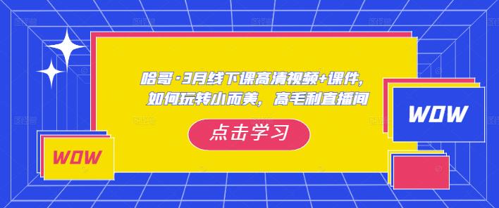 哈哥·3月线下实操课高清视频+课件，如何玩转小而美，高毛利直播间-大东资源库