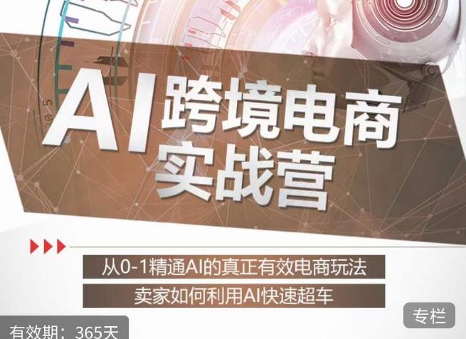 白龙老师·AI跨境电商实战营：从0-1精通Al的真正有效电商玩法，卖家如何利用Al快速超车-大东资源库