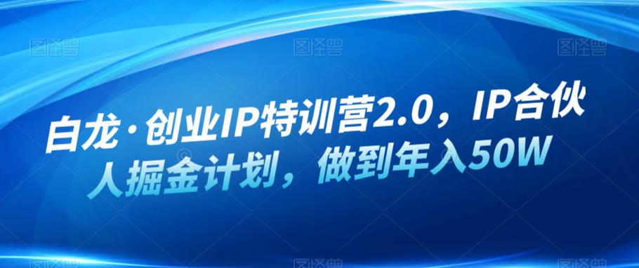 白龙·创业IP特训营2.0，IP合伙人掘金计划，做到年入50W-大东资源库