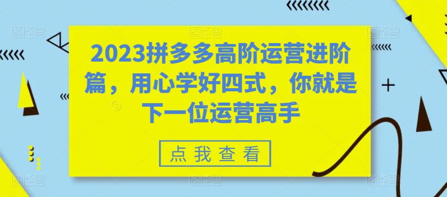 2023拼多多高阶运营进阶篇，用心学好四式，你就是下一位运营高手-大东资源库