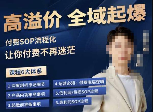 逸风-拼多多高溢价全域起爆，6大课程体系，付费玩法全套实操-大东资源库