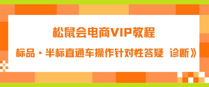 松鼠会电商VIP教程：松鼠《付费推广标品·半标直通车操作针对性答疑&诊断》-大东资源库