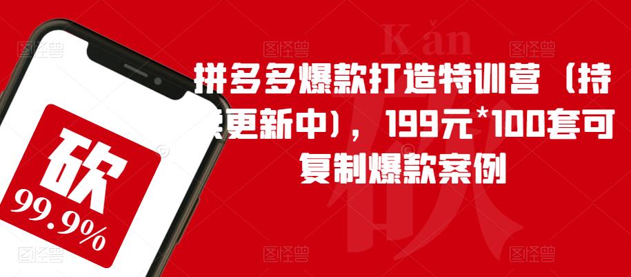 拼多多爆款打造特训营（持续更新中)，199元*100套可复制爆款案例-大东资源库