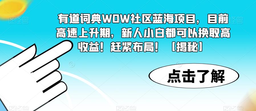 有道词典WOW社区蓝海项目，目前高速上升期，新人小白都可以换取高收益！赶紧布局！【揭秘】-大东资源库