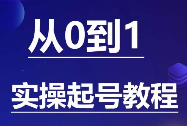 石野·小白起号实操教程，​掌握各种起号的玩法技术，了解流量的核心-大东资源库