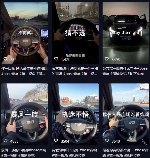 抖音开车视频项目，0基础操作，每天五分钟，月入1W+【揭秘】-大东资源库