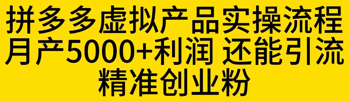 拼多多虚拟产品实操流程，月产5000+利润，还能引流精准创业粉【揭秘】-大东资源库
