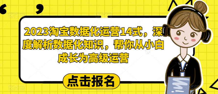 2023淘宝数据化运营14式，深度解析数据化知识，帮你从小白成长为高级运营-大东资源库