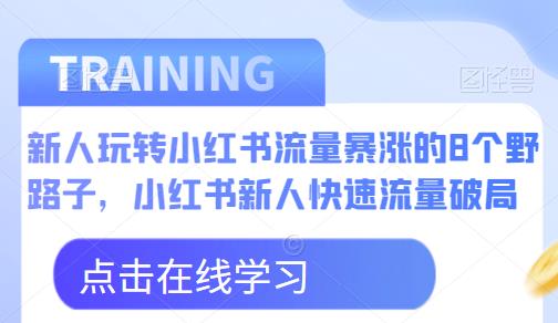 新人玩转小红书流量暴涨的8个野路子，小红书新人快速流量破局-大东资源库