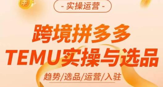 伍跃·跨境拼多多TEMU实操与选品，​趋势/选品/运营/入住（27节完整）-大东资源库