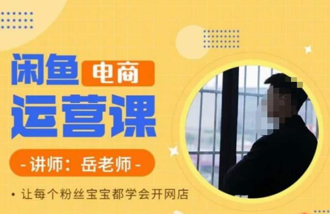 岳老师·闲鱼电商运营课，让每个粉丝宝宝都学会开网店-大东资源库