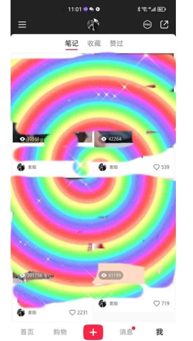 冷门高利润项目，小红书带货，无脑搬运，一部手机实现日入500+【揭秘】-大东资源库