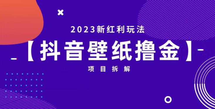 抖音壁纸小程序创作者撸金项目，2023新红利玩法【项目拆解】-大东资源库