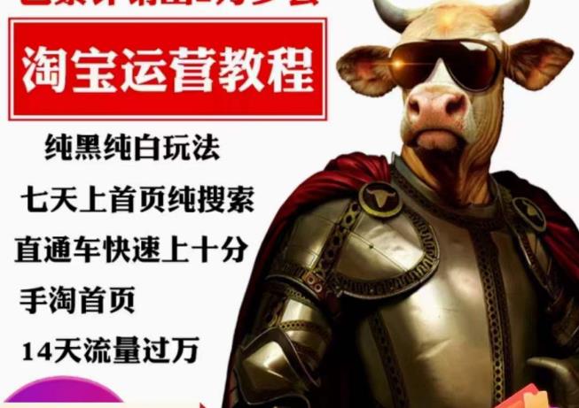 猫老师·淘系算法逆向解密，​纯黑纯白玩法，七天上首页纯搜索，手淘首页14天流量过万-大东资源库