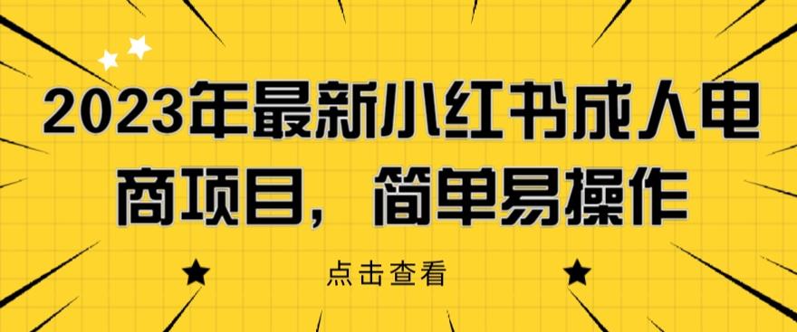 2023年最新小红书成人电商项目，简单易操作【详细教程】【揭秘】-大东资源库