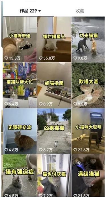 拆解抖音盘点类中视频变现副业项目，视频版一条龙大解析分享给你【视频课程】-大东资源库