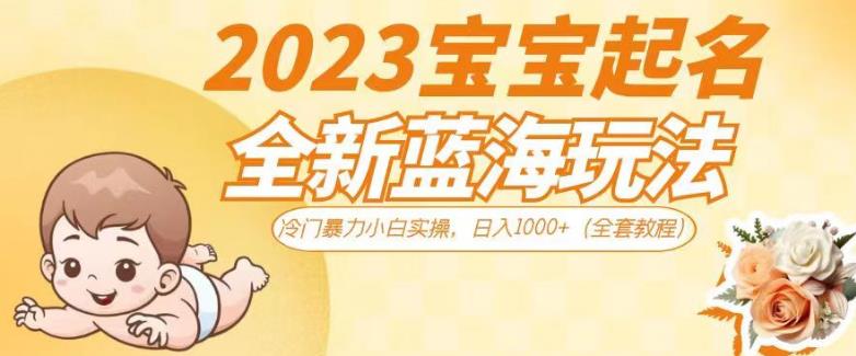 2023宝宝起名全新蓝海玩法，冷门暴力小白实操，日入1000+（全套教程）【揭秘】-大东资源库