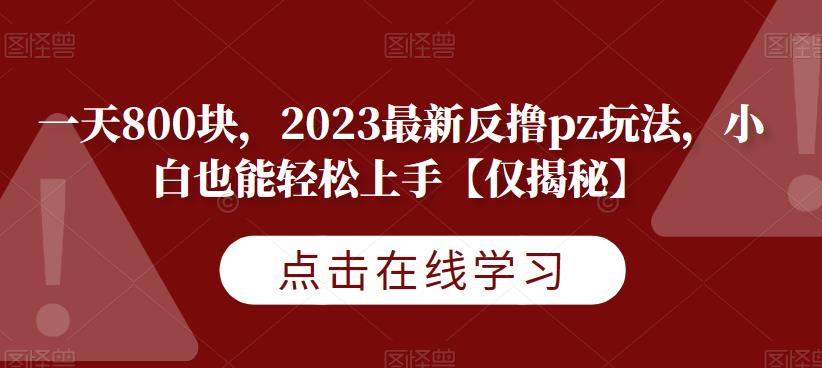 一天800块，2023最新反撸pz玩法，小白也能轻松上手【仅揭秘】-大东资源库
