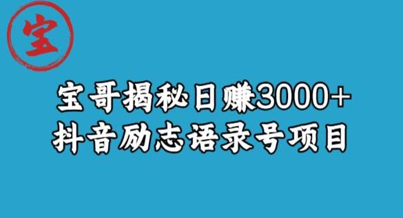 宝哥揭秘日赚3000+抖音励志语录号短视频变现项目-大东资源库