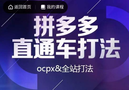 互力·拼多多直通车打法，ocpx&全站打法-大东资源库