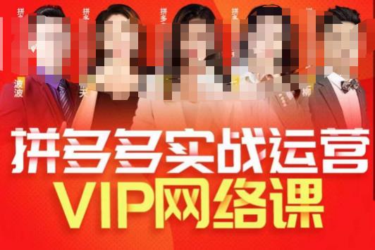 推易拼多多VIP全套直播课程,拼多多店铺实操玩法+实战玩法选款内功+直通车高阶等-大东资源库