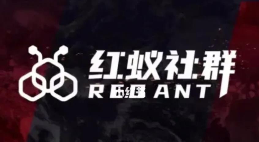 社群运营：红蚁社群【48节落地系统课程+2000人高端社群】-大东资源库