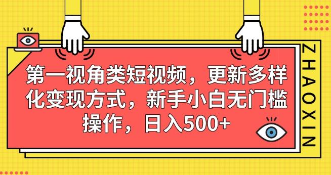 第一视角类短视频，更新多样化变现方式，新手小白无门槛操作，日入500+【揭秘】-大东资源库