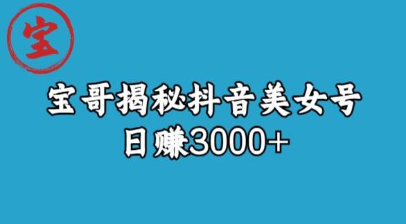 宝哥揭秘抖音美女号玩法，日赚3000+【揭秘】-大东资源库