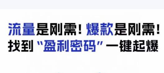 电商盈利精品课：6大盈利密码让产品更好卖，流量是刚需！爆款是刚需！找到”盈利密码”一键起爆-大东资源库