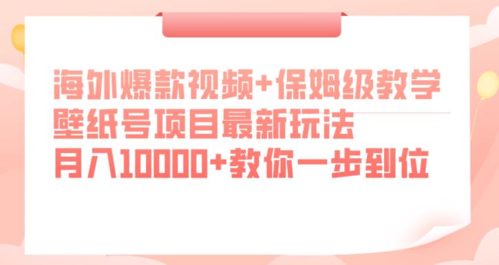 海外爆款视频+保姆级教学，壁纸号项目最新玩法，月入10000+教你一步到位【揭秘】-大东资源库
