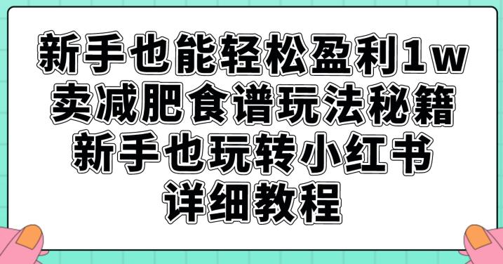 新手也能轻松盈利1w，卖减肥食谱玩法秘籍，新手也玩转小红书详细教程【揭秘】-大东资源库