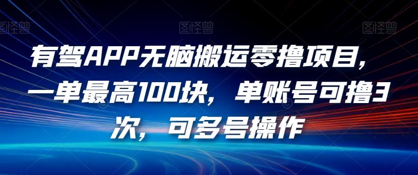 有驾APP无脑搬运零撸项目，一单最高100块，单账号可撸3次，可多号操作【揭秘】-大东资源库