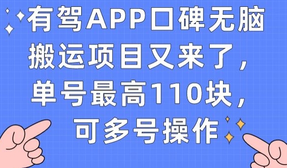 有驾APP口碑无脑搬运项目又来了，单号最高110块，可多号操作-大东资源库