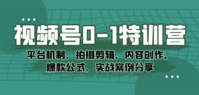 视频号0-1特训营:平台机制、拍摄剪辑、内容创作、爆款公式,实战案例分享-大东资源库