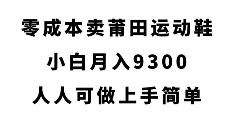 零成本卖莆田运动鞋，小白月入9300，人人可做上手简单【揭秘】-大东资源库