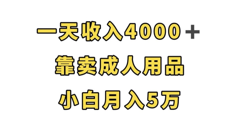 一天收入4000+，靠卖成人用品，小白轻松月入5万【揭秘】-大东资源库