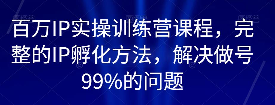 百万IP实操训练营课程，完整的IP孵化方法，解决做号99%的问题-大东资源库