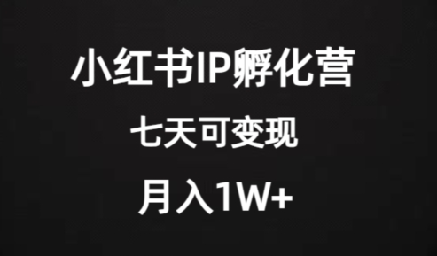价值2000+的小红书IP孵化营项目，超级大蓝海，七天即可开始变现，稳定月入1W+-大东资源库