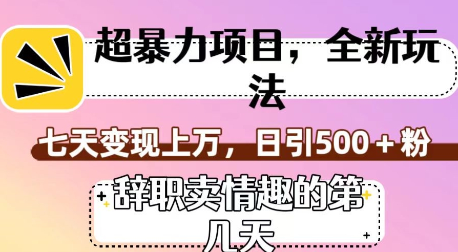 超暴利项目，全新玩法（辞职卖情趣的第几天），七天变现上万，日引500+粉【揭秘】-大东资源库