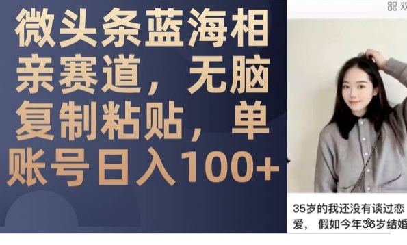 微头条蓝海相亲赛道，无脑复制粘贴，单账号日入100+-大东资源库