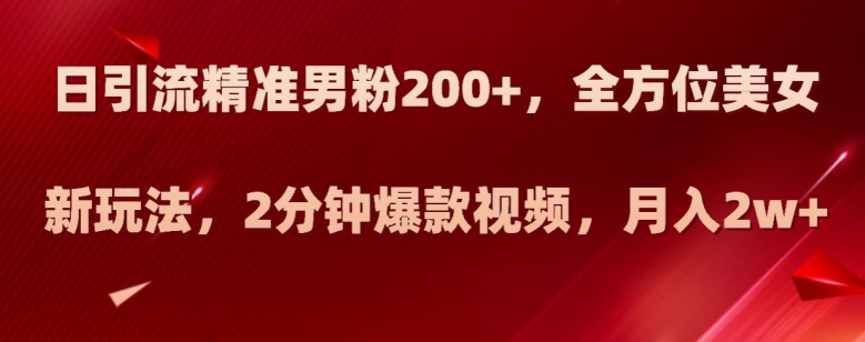 日引流精准男粉200+，全方位美女新玩法，2分钟爆款视频，月入2w+【揭秘】-大东资源库